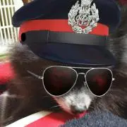 KJ