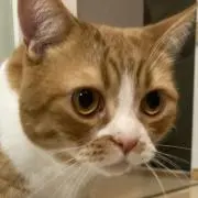 Milkyの画像