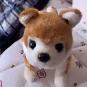 がき
