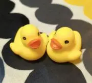 あきびんの画像
