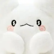なんかの画像