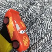 Araヒラタの画像