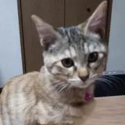 MNYの画像