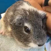 みぃちゃん