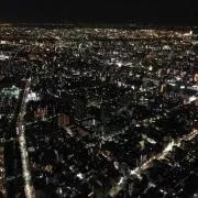 きになる木の画像