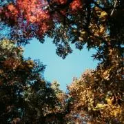 maruruの画像