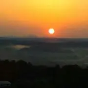 味付け海苔
