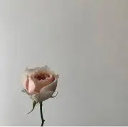 ♡の画像