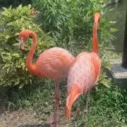 ジーン