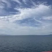 みむの画像
