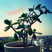 Image of happy＊