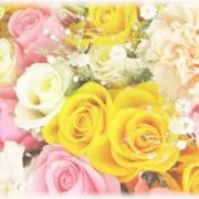 花の画像