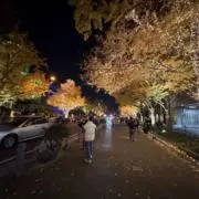 ながながの画像