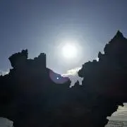 アリアリの画像