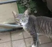 Minaの画像