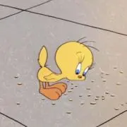 gomの画像