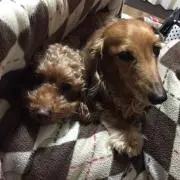 ムーちゃん