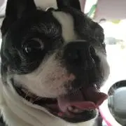 よぞら