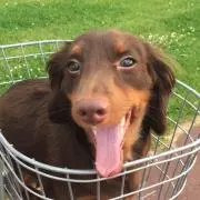 むー