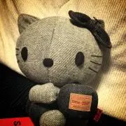 しらさんの画像