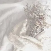 Fෆ‪プロフ必読の画像