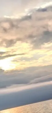 みーの画像