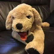 Tom