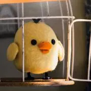 ピヨ