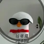 Pの画像