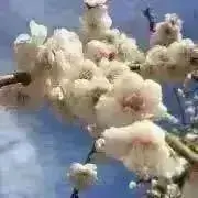 Kitty ★プロフ必読 ★の画像