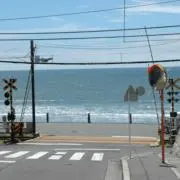 kuromarukotoneの画像