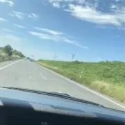 じぇりーの画像
