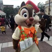 ぽんの画像