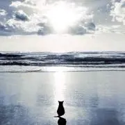 ずーみんの画像