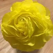 香の画像
