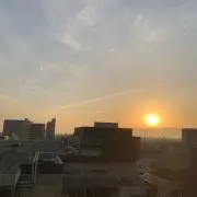 28匹の画像