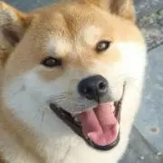 苺大福