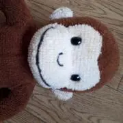 HANAの画像