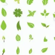 葉っぱの画像