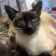 キノ♡