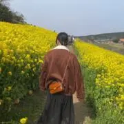 Amberの画像