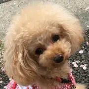 〜yusan〜☆プロフ必読☆
