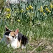 りょう