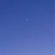 TOPOGIの画像
