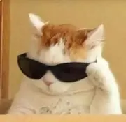 あきとの画像