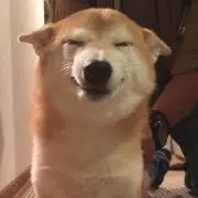 はちの画像