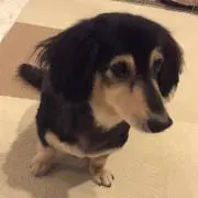 Masaruの画像