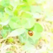 ☺︎      [プロフ確認推奨]の画像