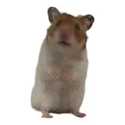りりの画像