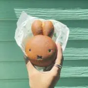 なすびの画像